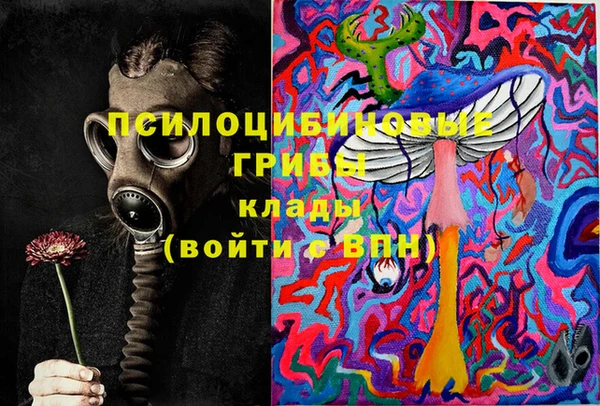 твердый Верея