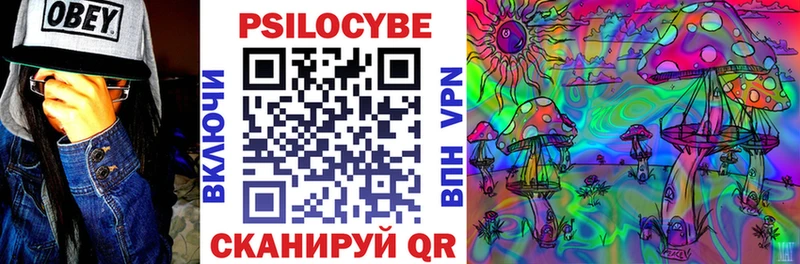Галлюциногенные грибы Psilocybine cubensis  купить   Киров 